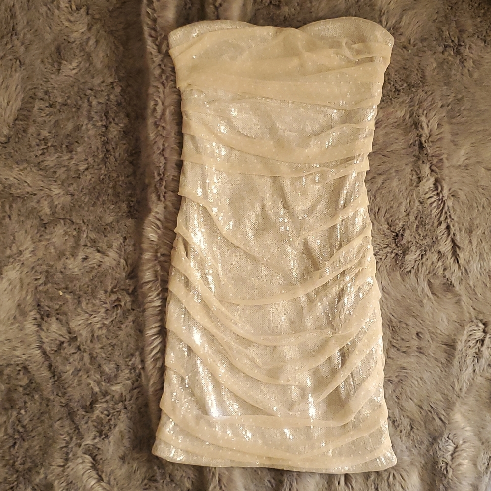 Express Strapless dress